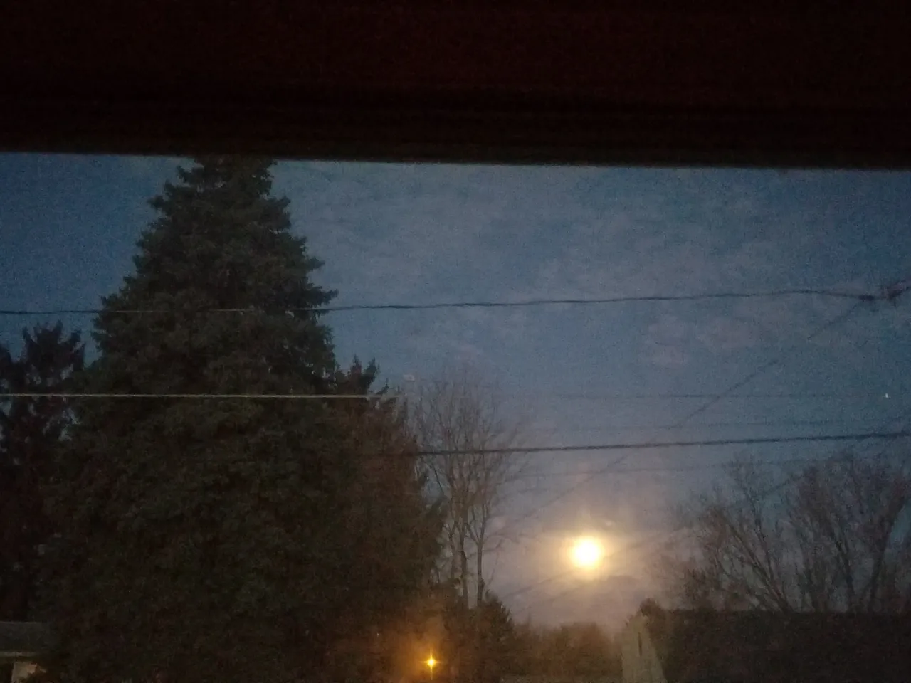 Full moon rising over trees and power lines.