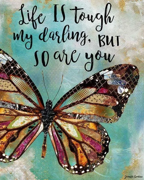 Butterfly with inspirational quote about life.