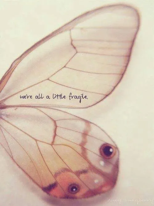 Butterfly wing with quote about fragility.