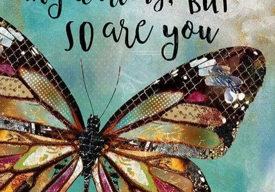 Butterfly with inspirational quote about life.