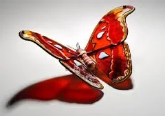 A red and white butterfly with spread wings.